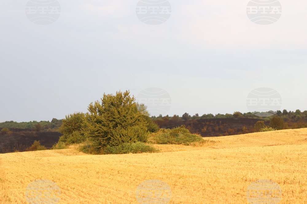Село Иваняне - пожар
