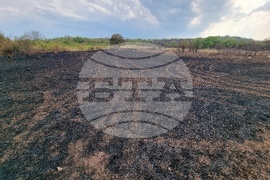 Село Дъбова махала - пожар