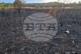 Село Дъбова махала - пожар