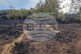 Село Дъбова махала - пожар