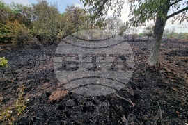 Село Дъбова махала - пожар