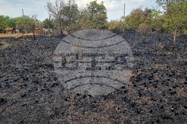 Село Дъбова махала - пожар