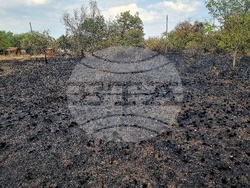 Село Дъбова махала - пожар