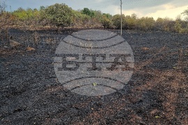 Село Дъбова махала - пожар