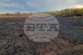 Село Дъбова махала - пожар