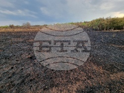 Село Дъбова махала - пожар