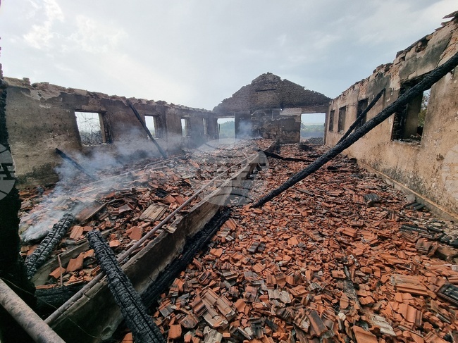 Кипърското правителство отпуска 10 000 евро еднократна помощ на семействата, чиито къщи са изгорели напълно при пожара край Лимасол