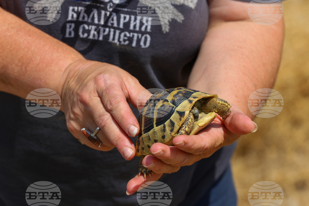 Симитли - пожар - костенурка