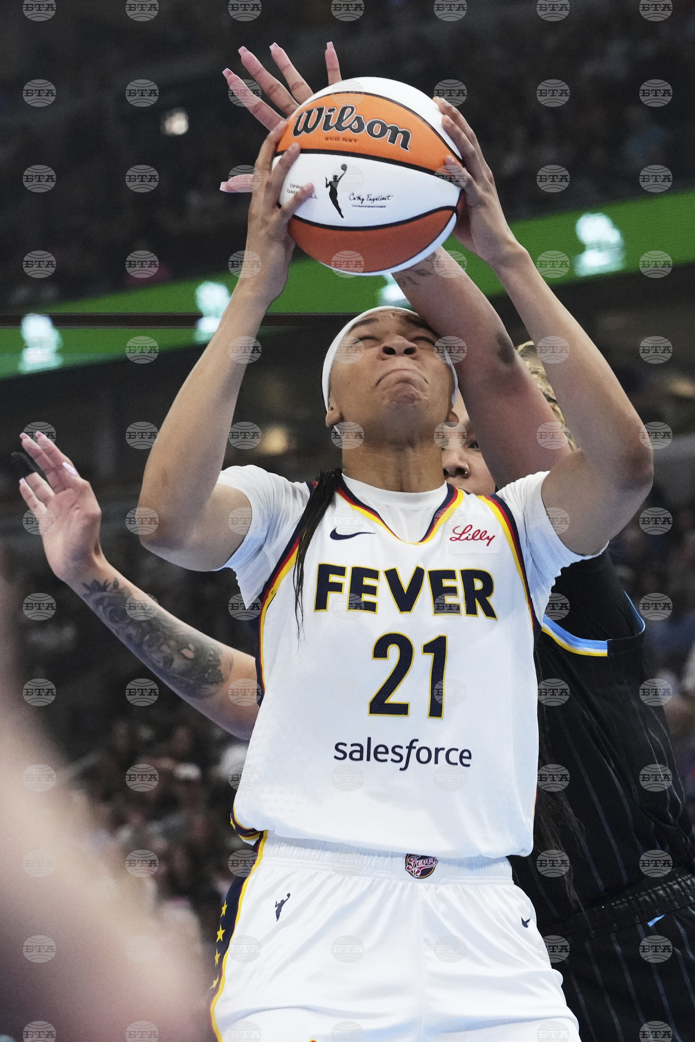 Fever Sky Basketball