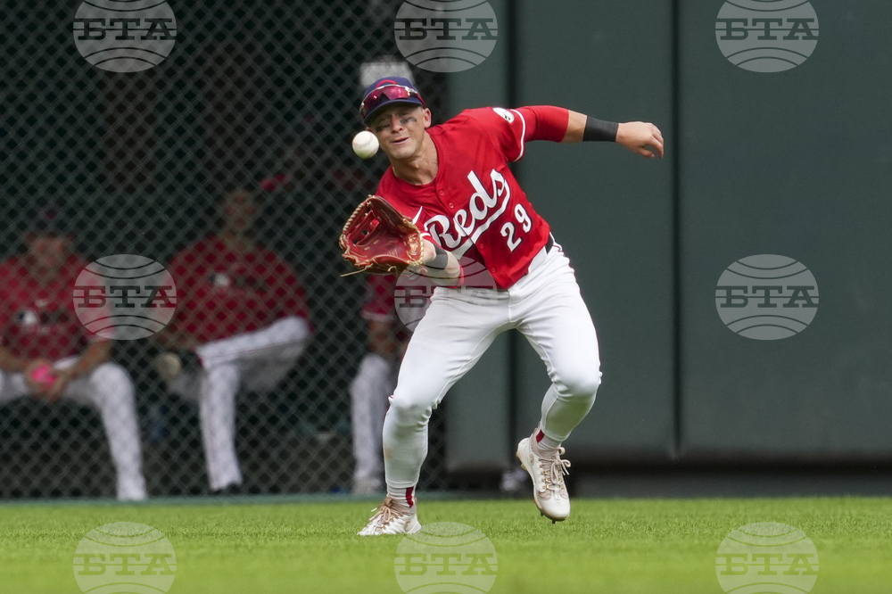 Rays Reds Baseball