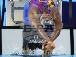 Singapore Swimming Worlds