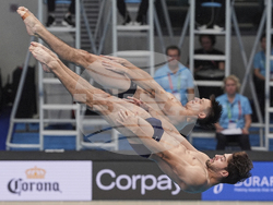 Singapore Swimming Worlds