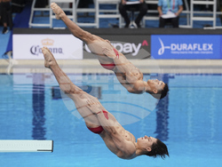 Singapore Swimming Worlds