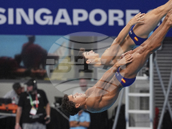 Singapore Swimming Worlds