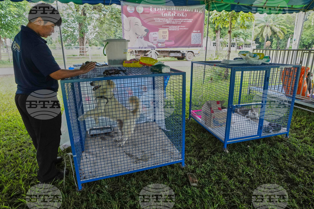 Thailand Cambodia Conflict Pets