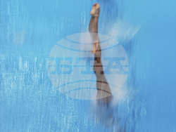 Singapore Swimming Worlds