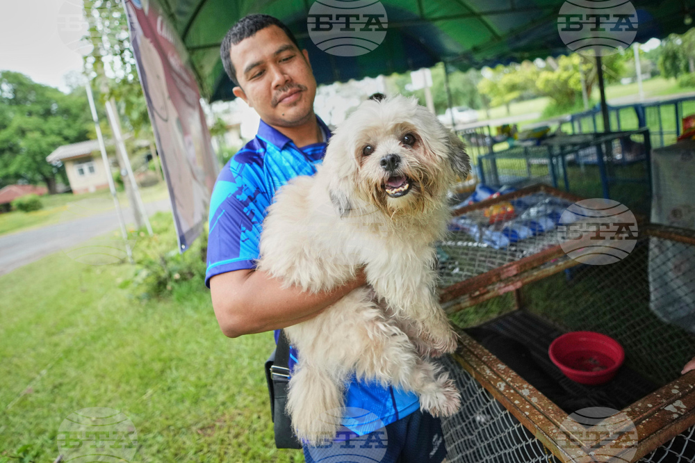 Thailand Cambodia Conflict Pets