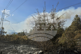 Село Илинденци - пожар