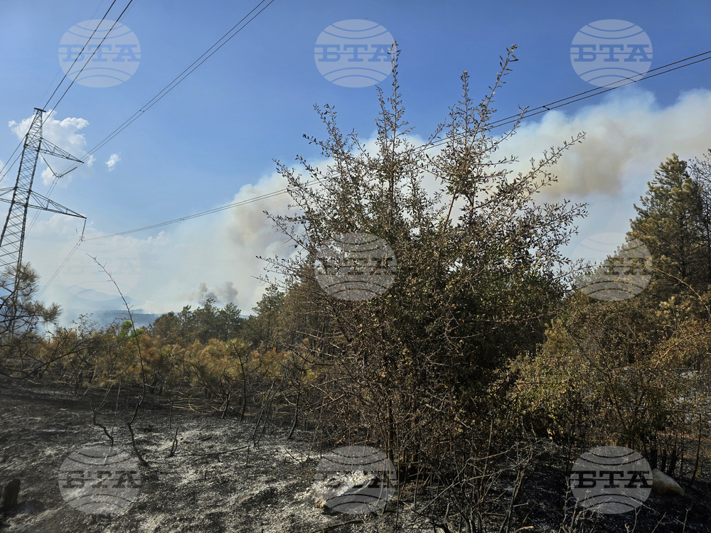 Село Илинденци - пожар