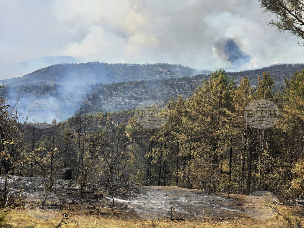 Село Илинденци - пожар