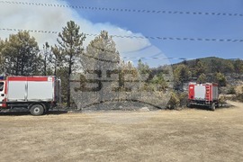 Село Илинденци - пожар