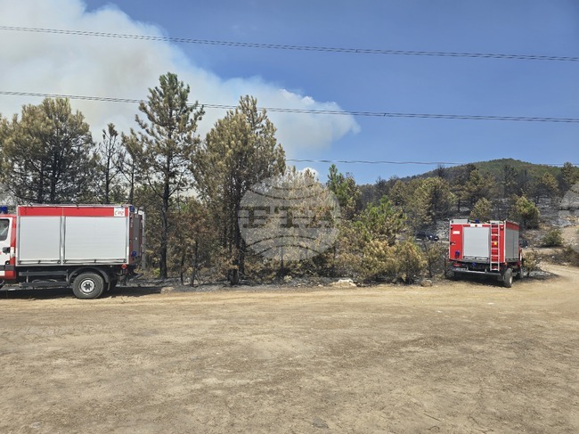 Пожарът в района на село Илинденци е един от най-големите в България, каза кметът на Сандански Атанас Стоянов