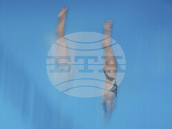 Singapore Swimming Worlds