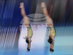 Singapore Swimming Worlds