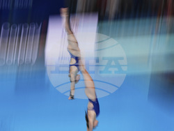 Singapore Swimming Worlds