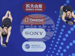 Singapore Swimming Worlds