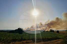 Сакар планина - пожар - гасене