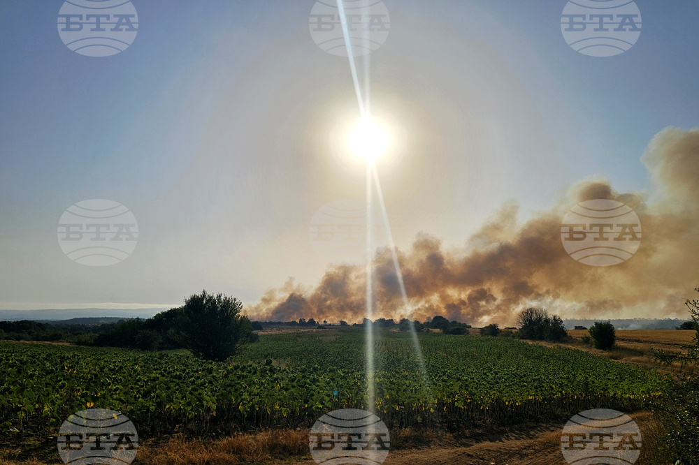 Сакар планина - пожар - гасене