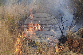 Сакар планина - пожар - гасене