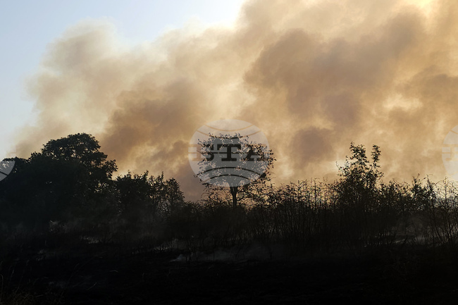 Бушувалият три дни пожар в Сакар планина е потушен напълно на 23 август 1999 г. 