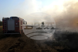 Сакар планина - пожар - гасене