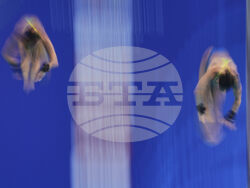 Singapore Swimming Worlds