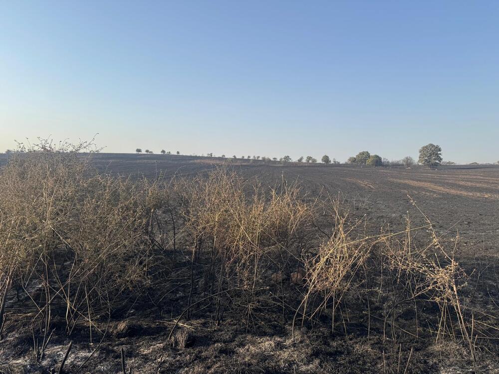 Евакуираните от дома за хора с психични разстройства заради пожара край с. Радовец вече са отново в социалното заведение