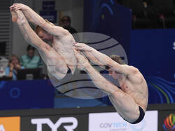 Singapore Swimming Worlds