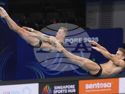 Singapore Swimming Worlds