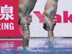 Singapore Swimming Worlds
