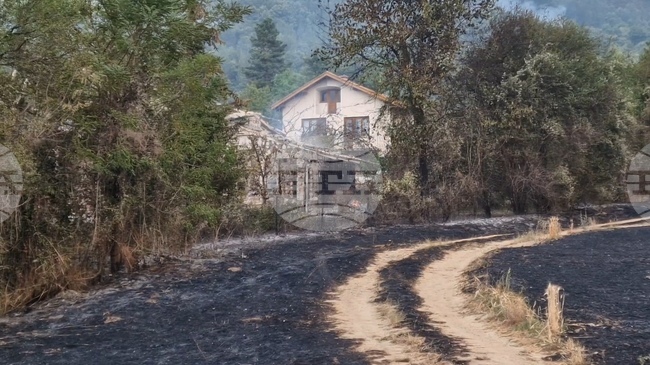 Осем отбора са участвали в провелия се благотворителен футболен турнир за „Купата на кмета“ в Трън