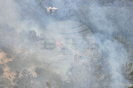 Село Илинденци - землище - пожар