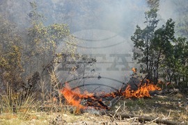 Село Илинденци - землище - пожар