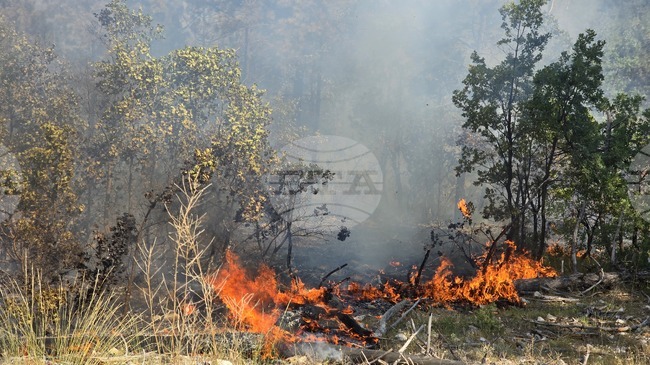 Общо 118 пожара са потушени в страната през изминалото денонощие, пострадала е 79-годишна жена