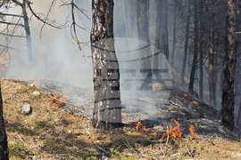 Село Илинденци - землище - пожар