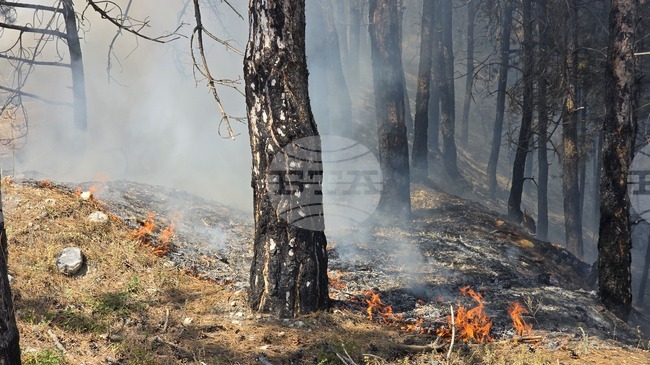 Няма опасност за населени места заради пожарите в страната, каза в Илинденци съветникът на вътрешния министър Николай Николов