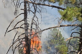 Село Илинденци - землище - пожар