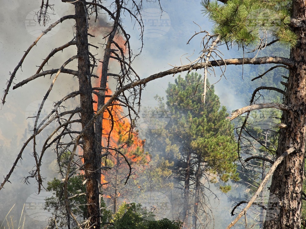 Wildfire Near Ilindentsi Engulfs Over 4,000 Hectares, Spreads Into Pirin National Park