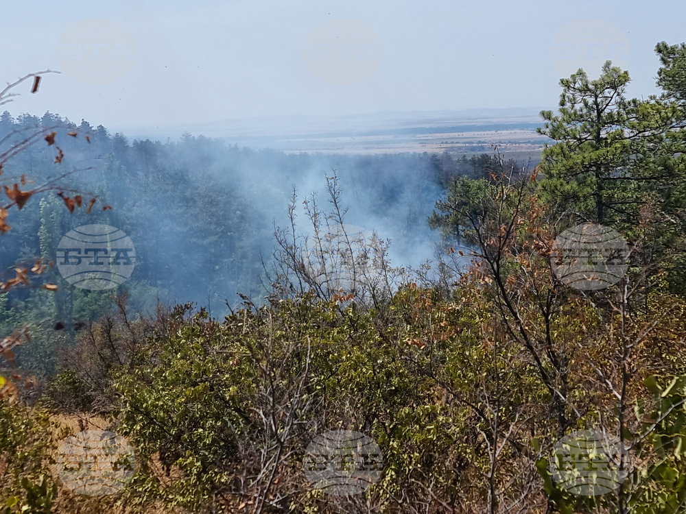 Овладян е пожарът между селата Градец и Царичина, съобщи за БТА кметът на Костинброд Трайко Младенов