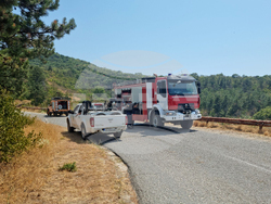 Местност Бакаджик - пожар